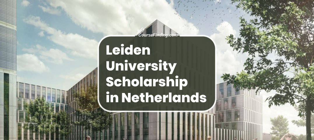 Netherlands fellowship programs for international students