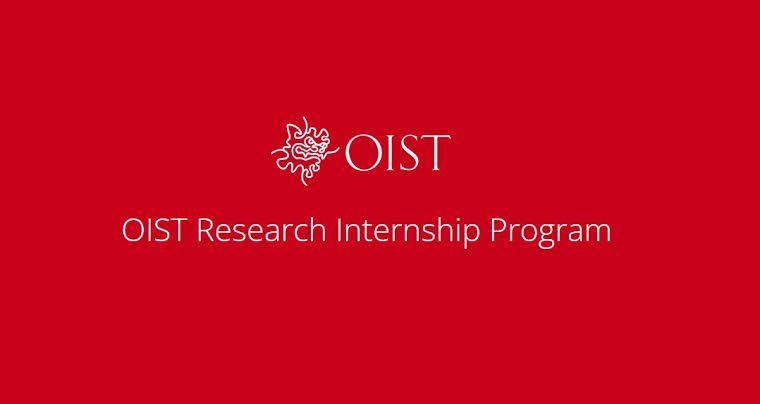 OIST Internship