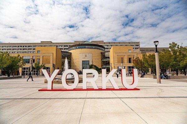 York University