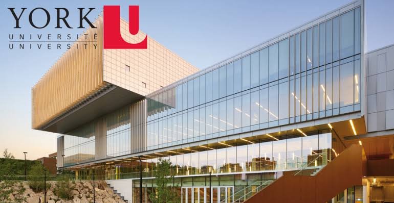 All Courses at York University